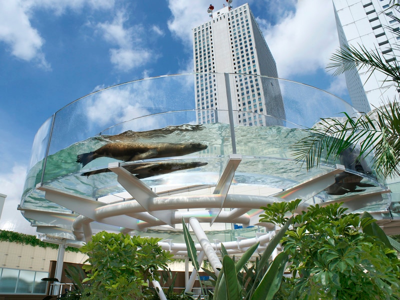 サンシャイン水族館