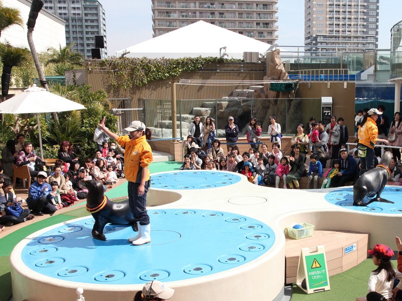 サンシャイン水族館