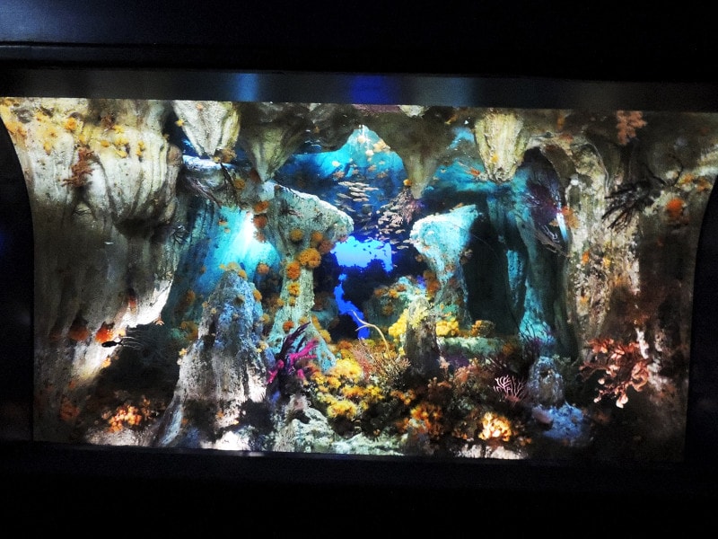 サンシャイン水族館