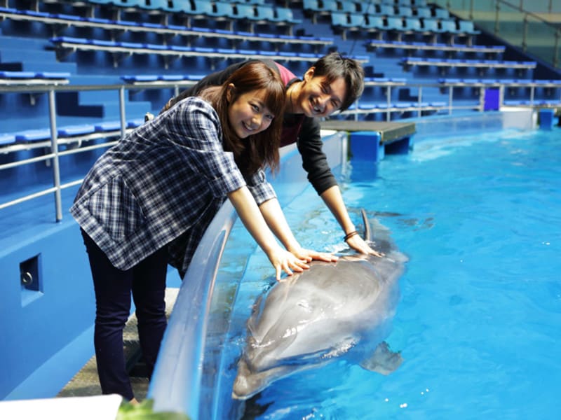 マクセル アクアパーク品川