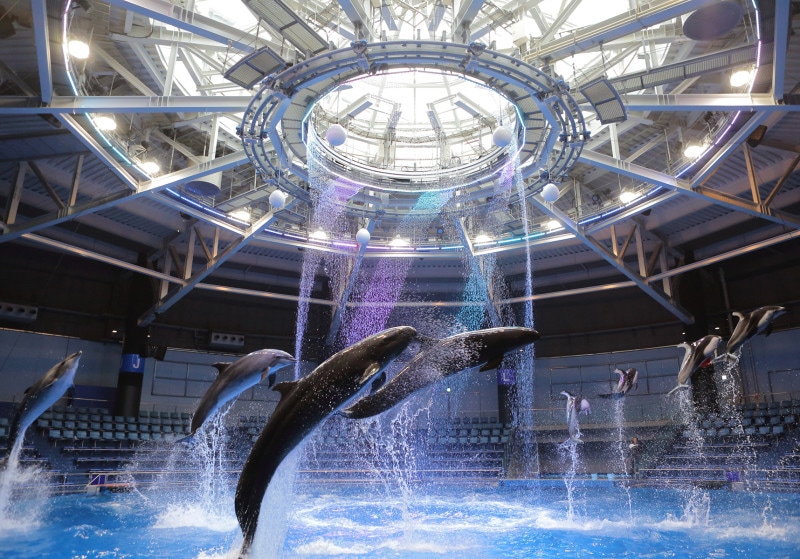 マクセル アクアパーク品川