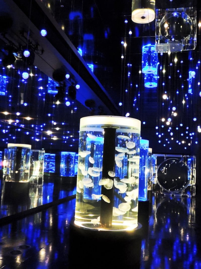 マクセル アクアパーク品川