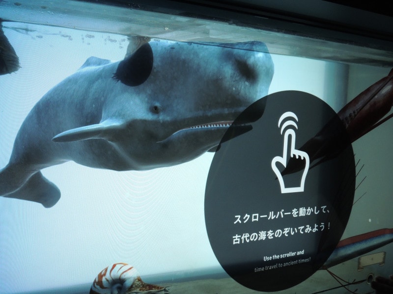 マクセル アクアパーク品川