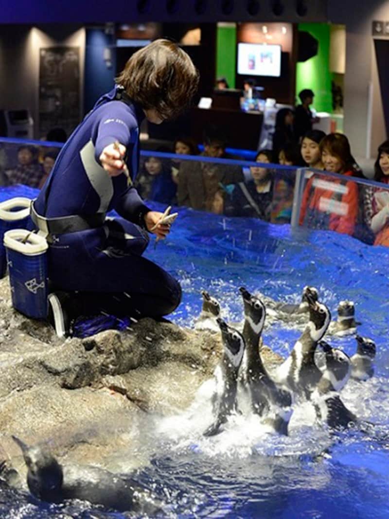 すみだ水族館