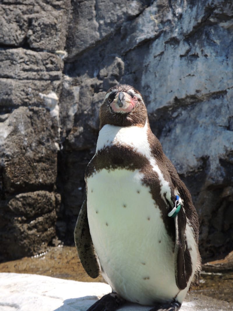 葛西臨海水族園