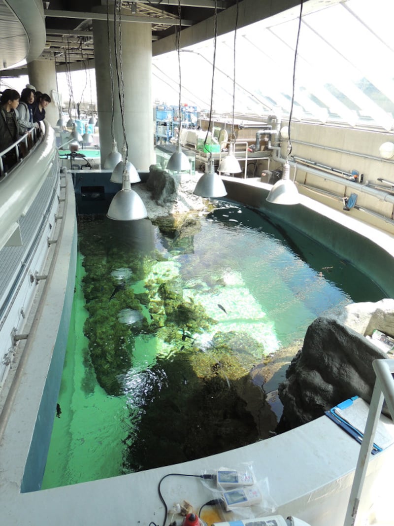 葛西臨海水族園