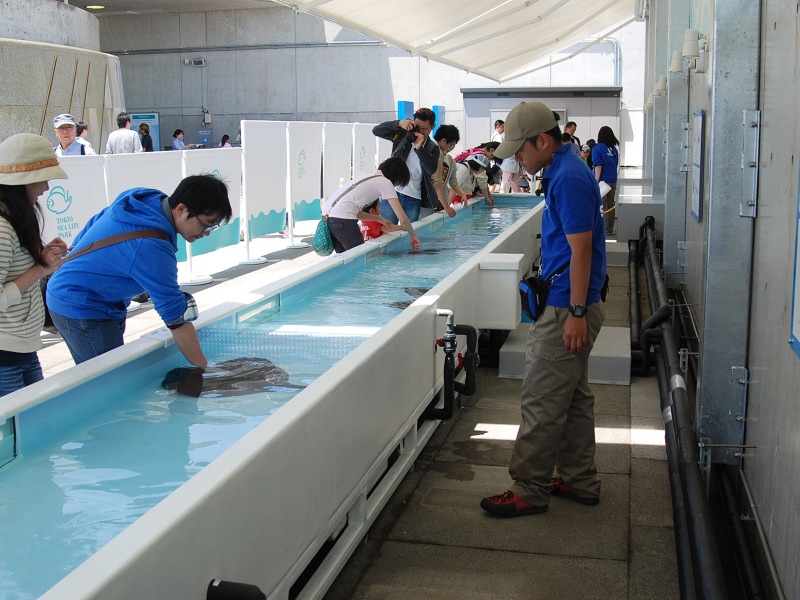 葛西臨海水族園