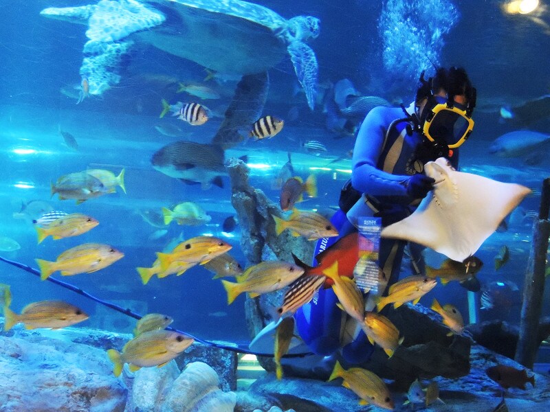しながわ水族館