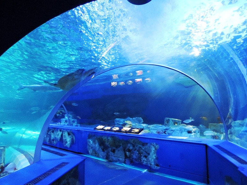 しながわ水族館