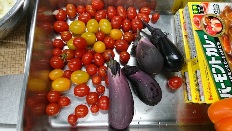 ナスカレーに入れるミニトマトとナス。全て家庭菜園で採れました！