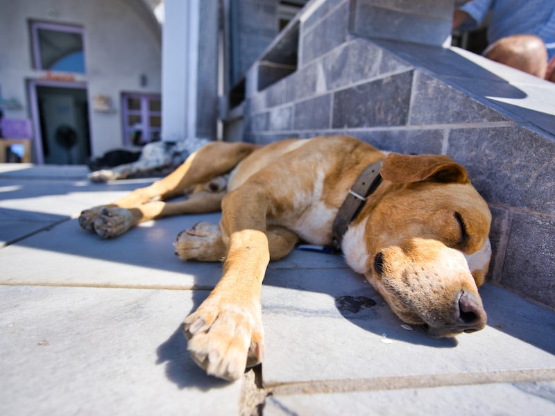 ちょっと休憩中……