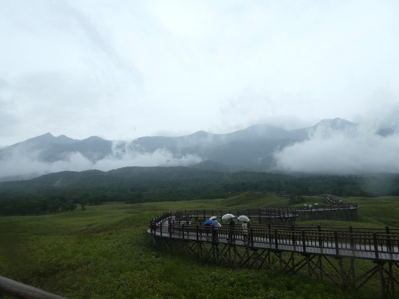 知床五湖(1)/高架木道