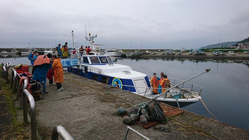 羅臼港から出航する観光船