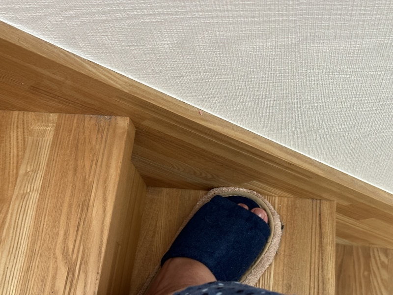 レック「激落ちお掃除スリッパNEO」