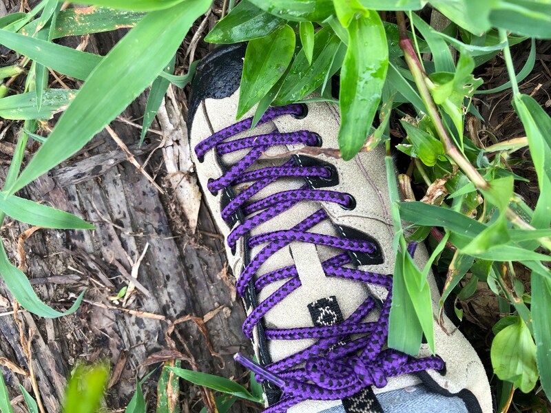 ワークマンの「DIA高撥水シューズ アーバンハイク」は朝露で濡れている場所でも問題なし