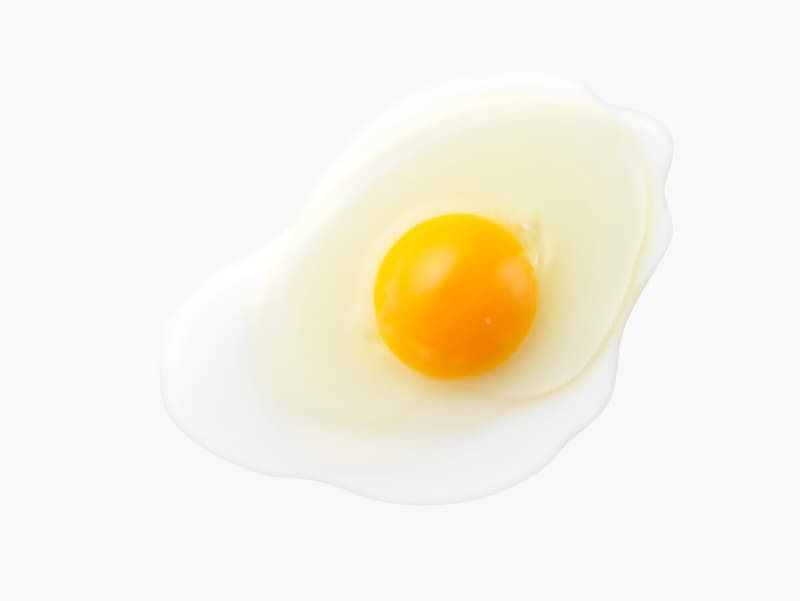 卵の黄身についている白い部分（カラザ）は食べない方がいい？