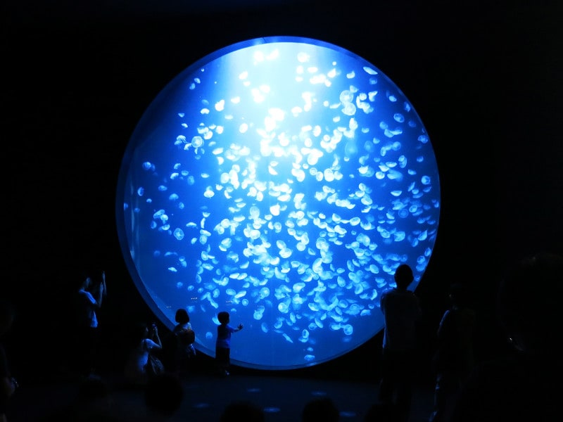 鶴岡市立加茂水族館