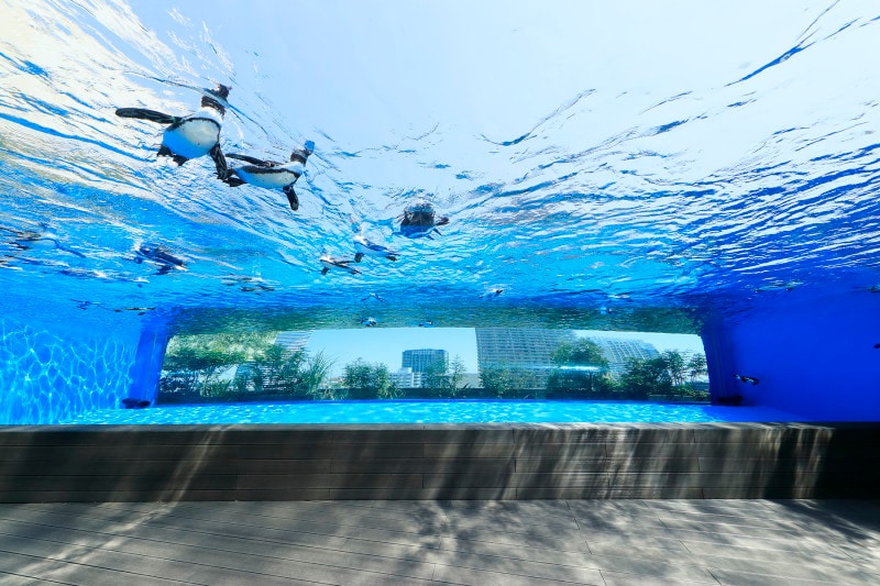 サンシャイン水族館