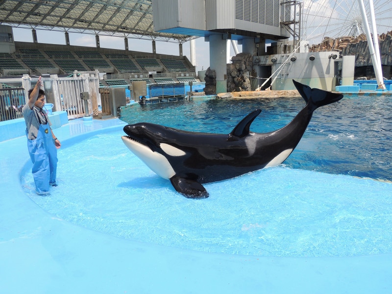 名古屋港水族館