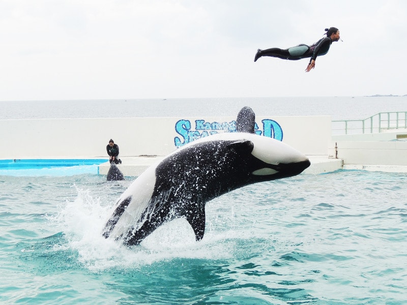 鴨川シーワールド