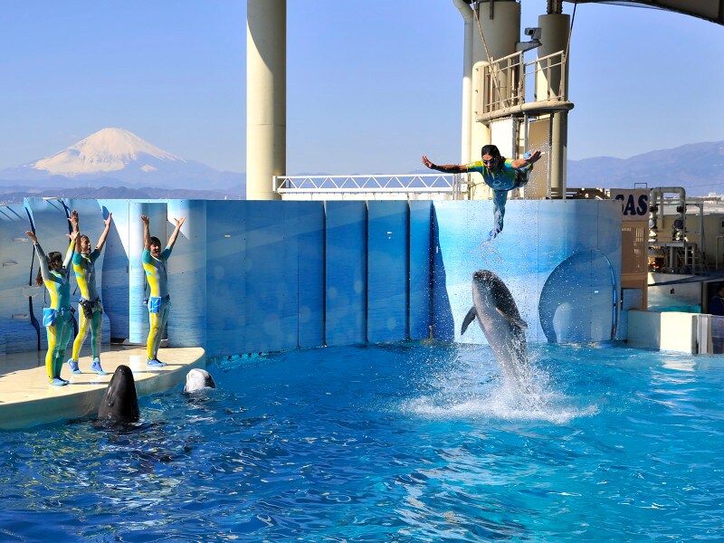 新江ノ島水族館