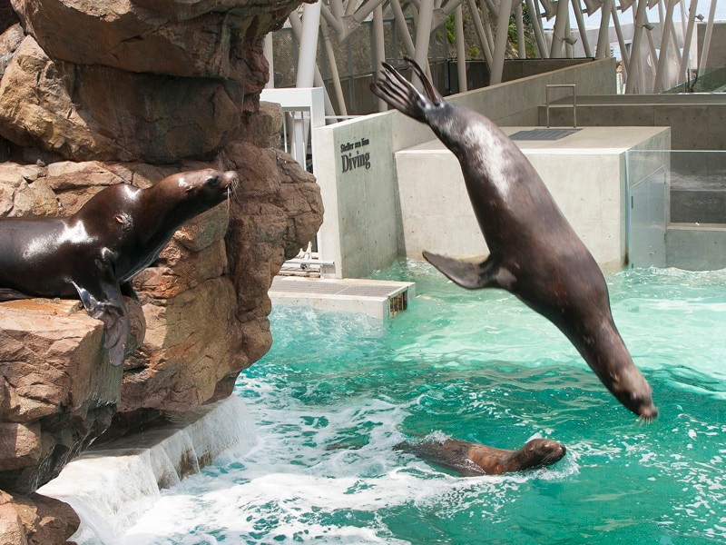 城崎マリンワールド