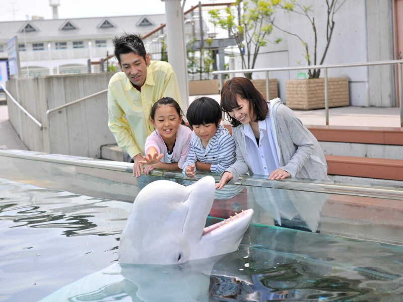 横浜・八景島シーパラダイス
