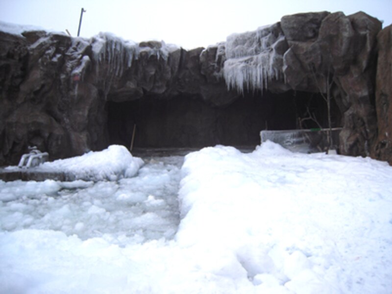 あざらし館屋外