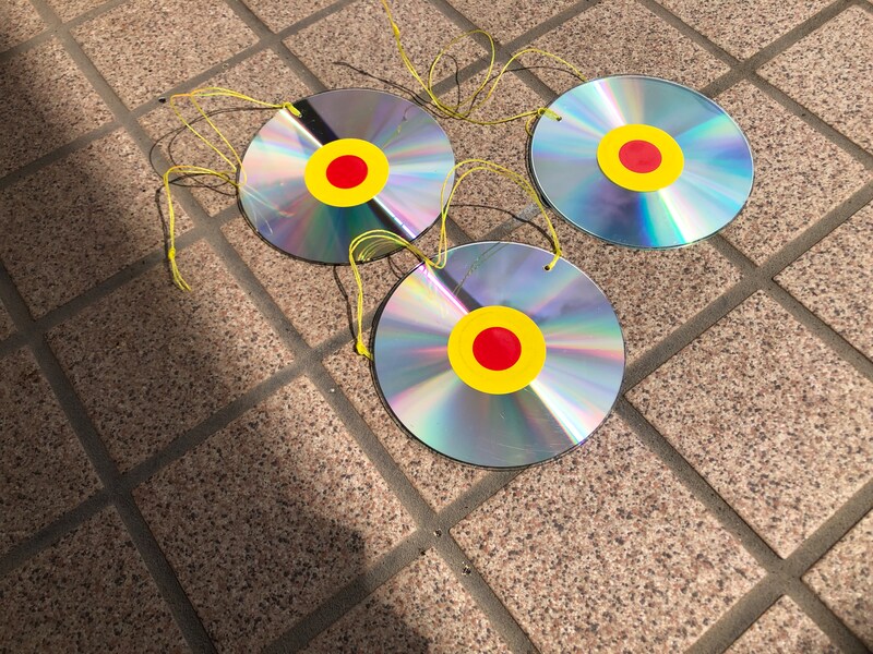 ダイソーの「鳥よけCD」は3枚入り