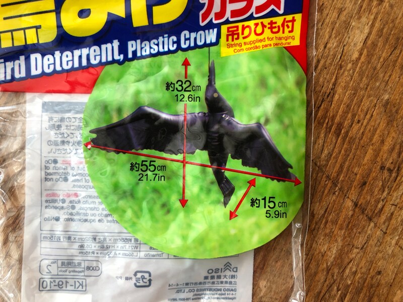 ダイソーの「鳥よけ ビニールカラス」を膨らませると、約55×32×15cmのサイズになる