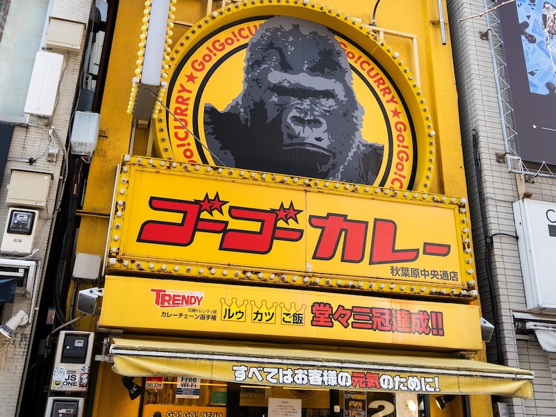 関東在住者が選ぶ「好きなカレーチェーン」ランキング、第2位は「ゴーゴーカレー」でした！