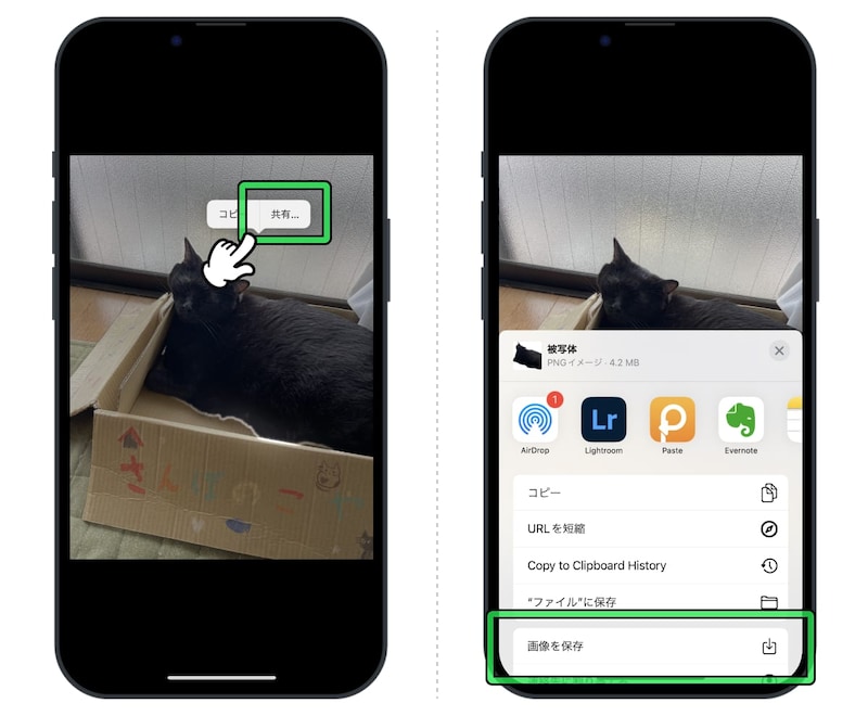 iPhoneで写真の背景を削除する方法