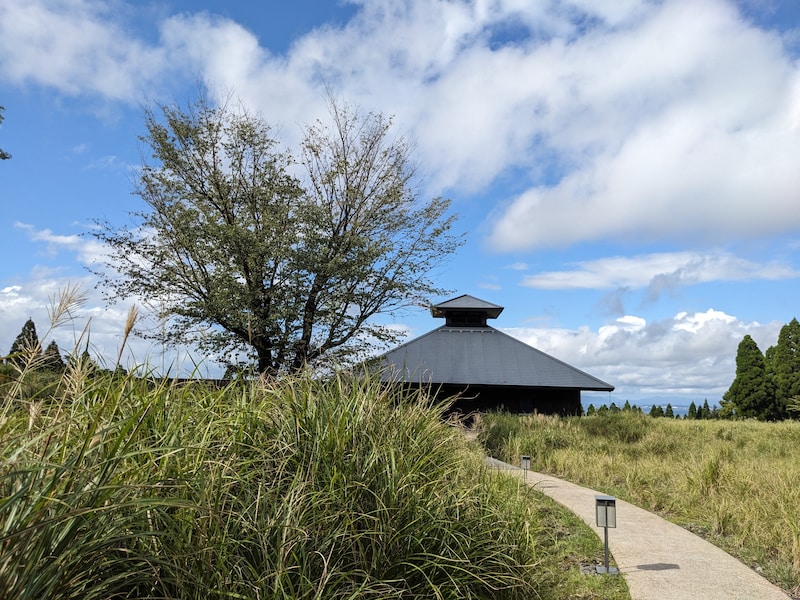 フェリーさんふらわ×界