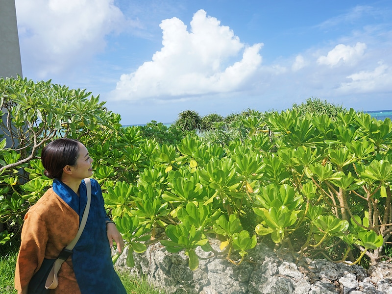 ゆんたく庭めぐり