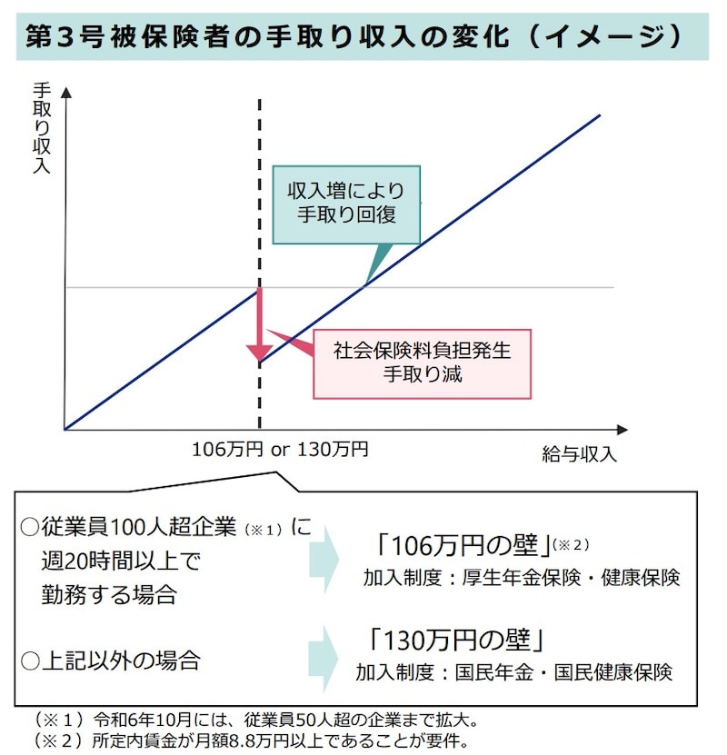 106万円の壁,130万円の壁,厚生労働省,101人以上,企業