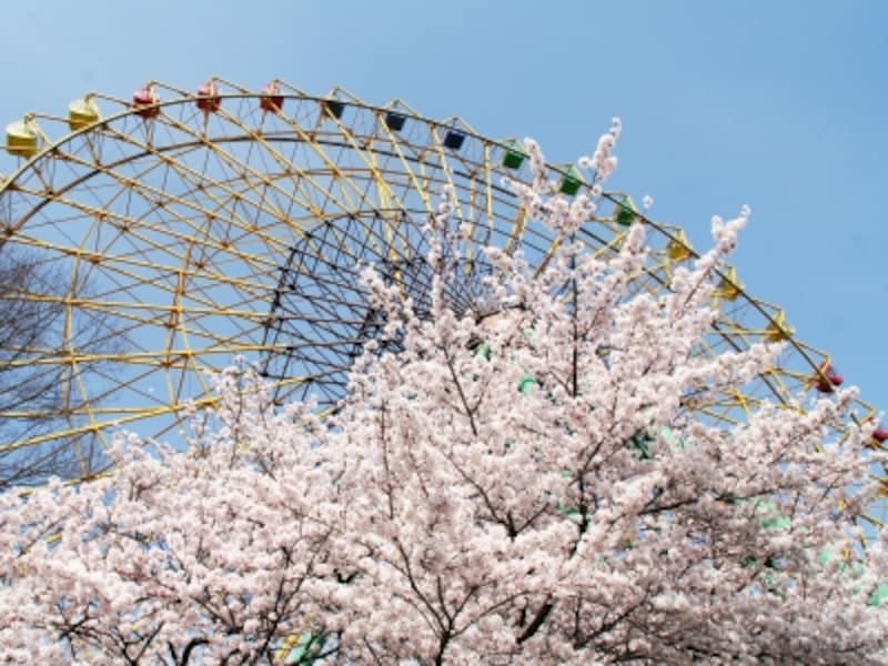 お花見も楽しめる全国の遊園地ベスト16 17年 遊園地 All About