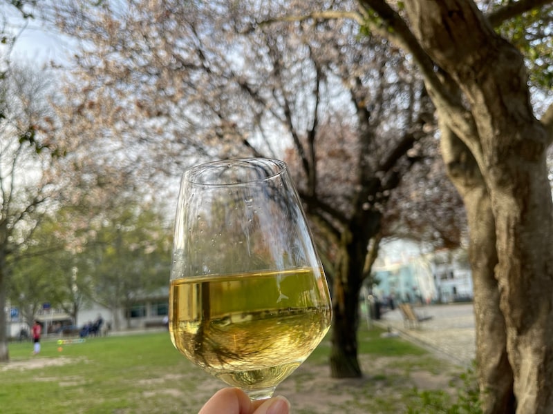 昼間の公園でも気軽にワイン
