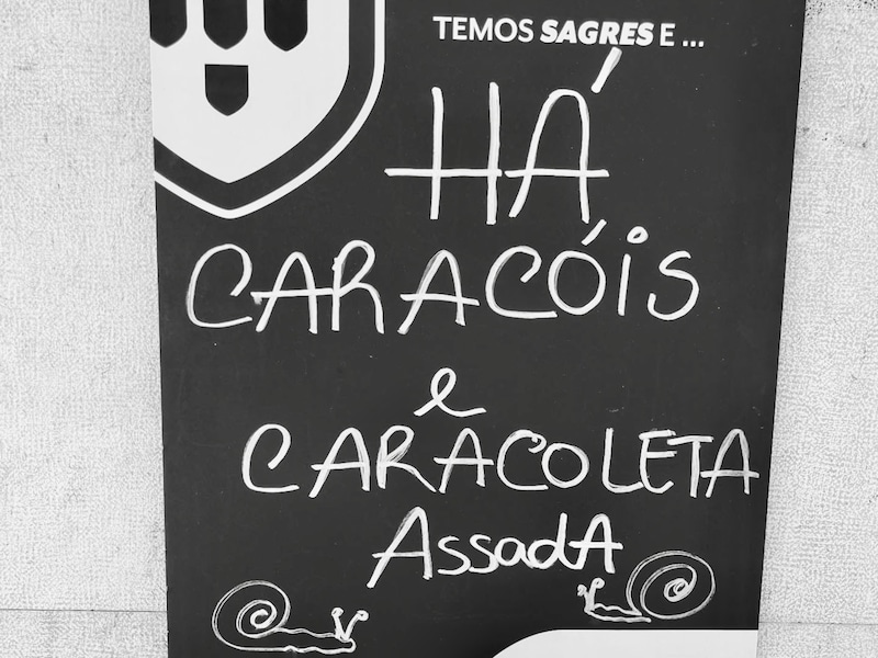 「カタツムリ（カラコイシュ）あります」の看板