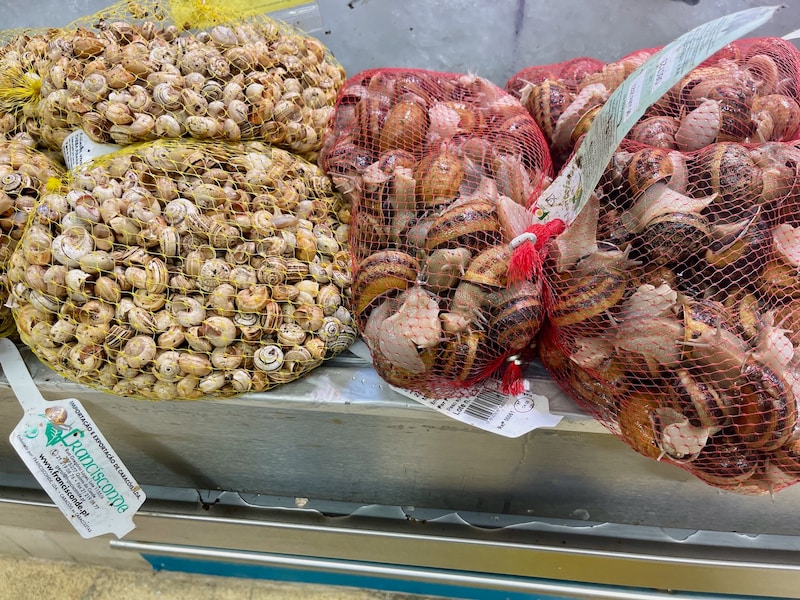 スーパーで購入できるカタツムリ