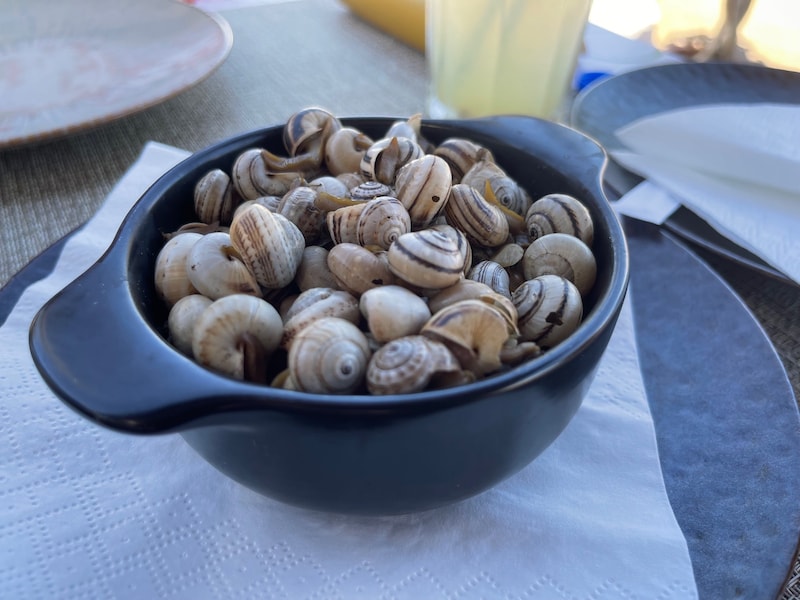 スパイスやハーブの効いたカタツムリ