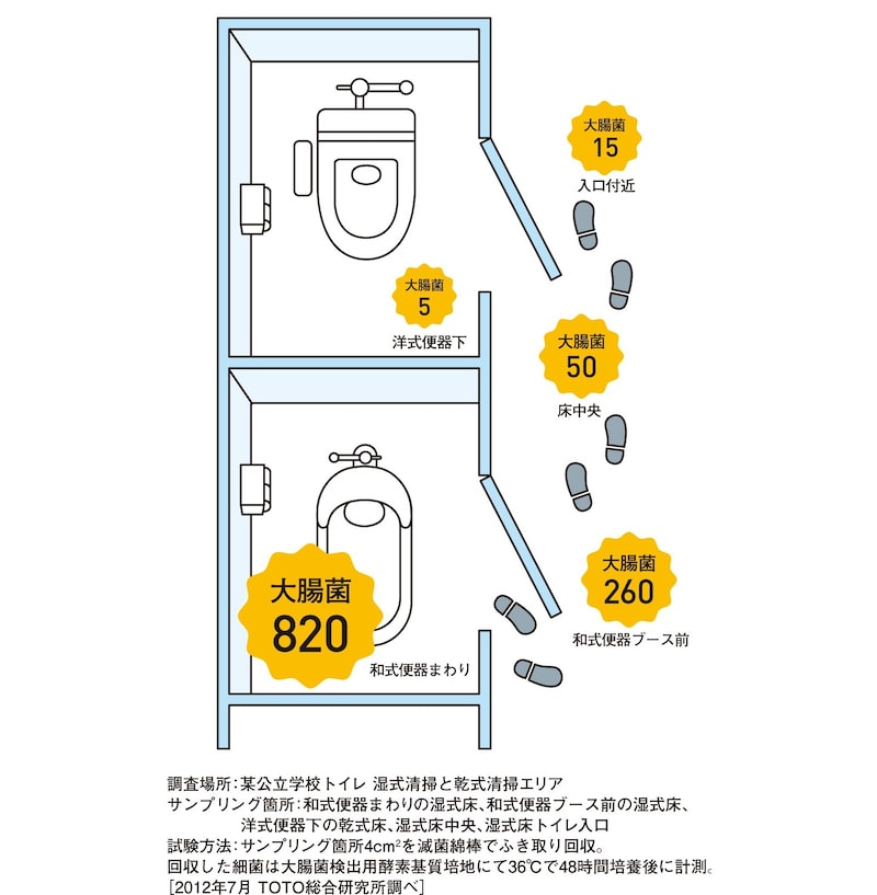 大腸菌の比較