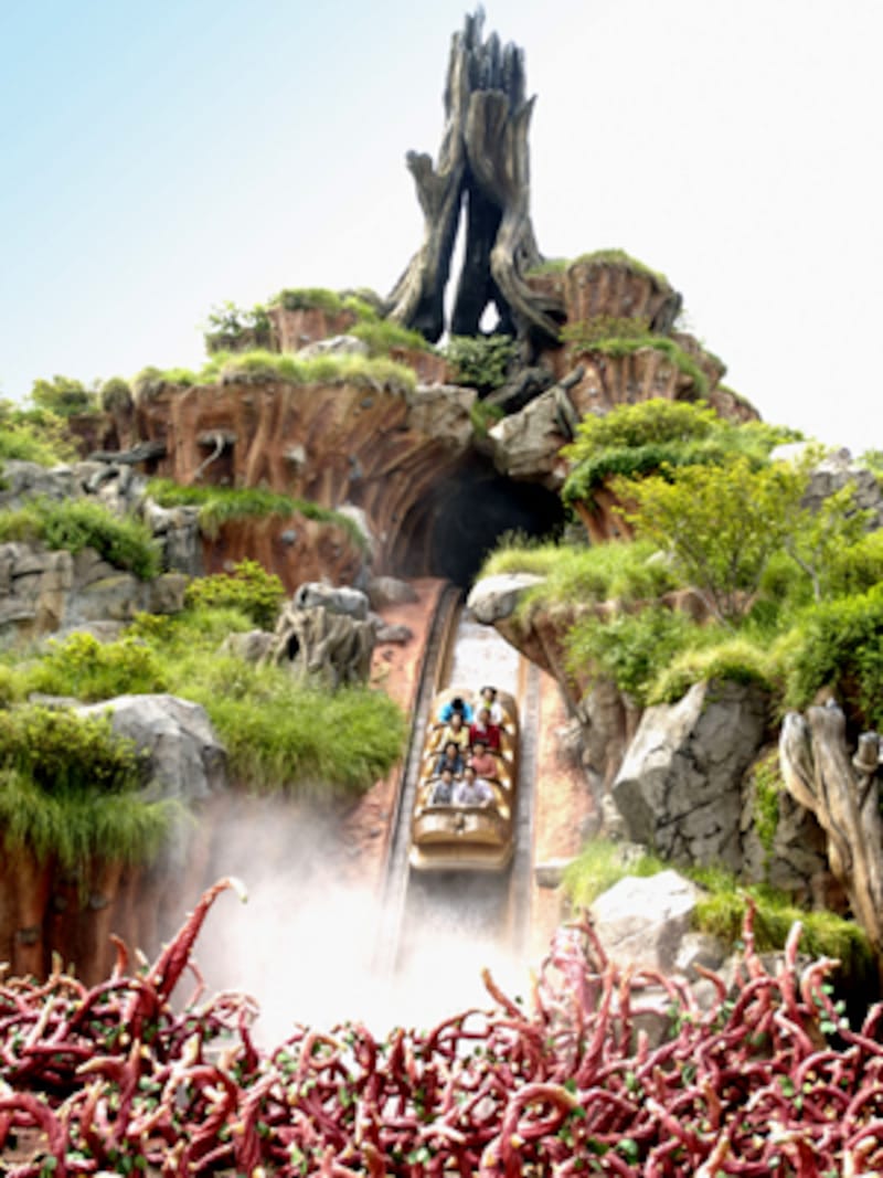 ディズニーランド スプラッシュ・マウンテン
