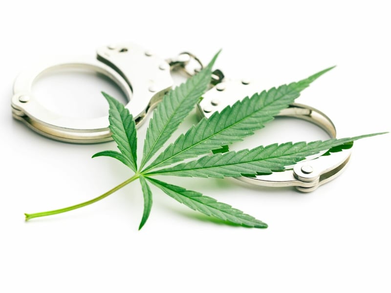 大麻取締法の改正