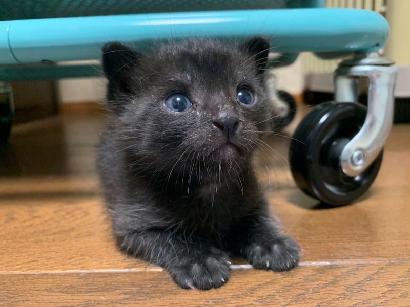 この環境にやっと慣れました。