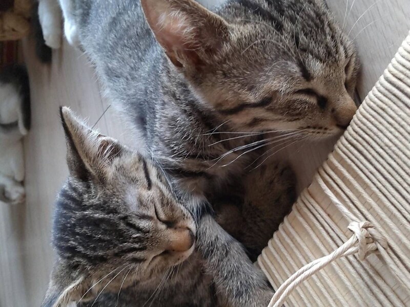 Well beingに親子でやってきました!安心して過ごせてます。