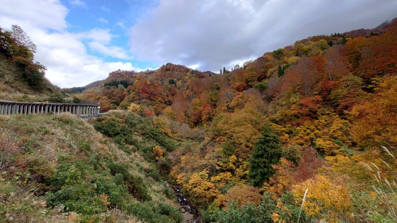 魚沼丘陵の紅葉・黄葉