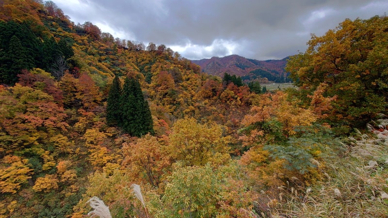 清津峡方面の紅葉・黄葉