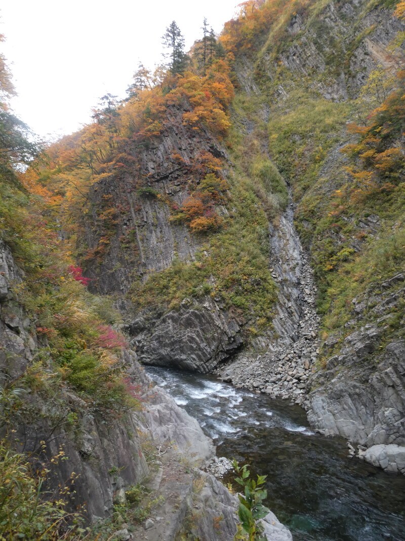 清津峡渓谷トンネル(4)/第二見晴所から見える渓谷と紅葉