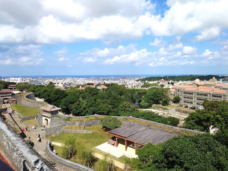 見学デッキからの眺めも必見