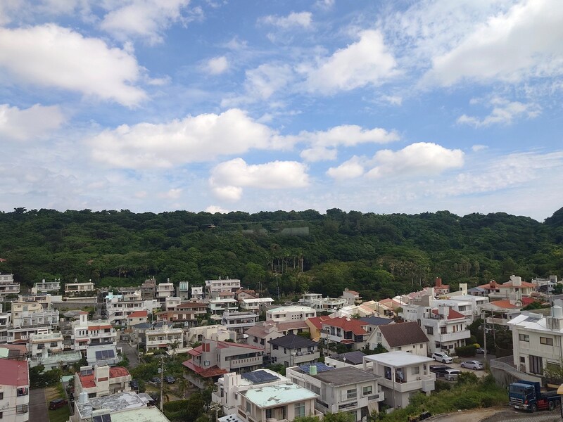 市立病院前駅の近くにある亜熱帯の木々が生い茂る末吉公園。琉球の歴史が息づく聖地でもある